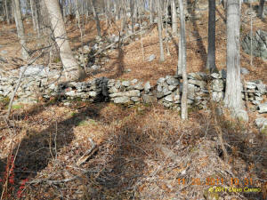 Conneticut stone line photo by Dave Cuneo 