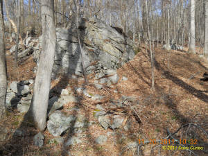 Conneticut stone line photo by Dave Cuneo 