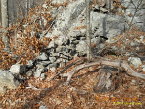 Conneticut stone line photo by Dave Cuneo 