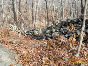 Conneticut stone line photo by Dave Cuneo 