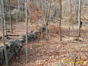 Conneticut stone line photo by Dave Cuneo 