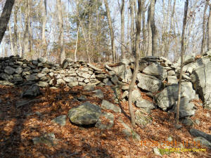 Conneticut stone line photo by Dave Cuneo 