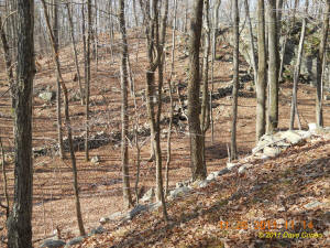 Conneticut stone line photo by Dave Cuneo 