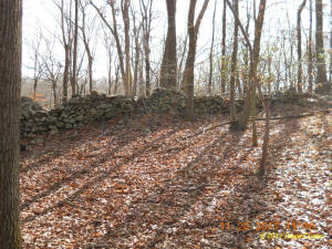 Conneticut stone line photo by Dave Cuneo 