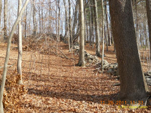 Conneticut stone line photo by Dave Cuneo 