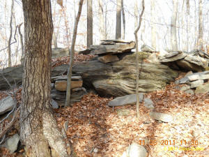 Conneticut stone line photo by Dave Cuneo 