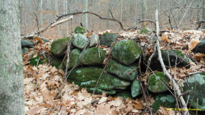 Tim MacSweeney Conneticut stone line photo