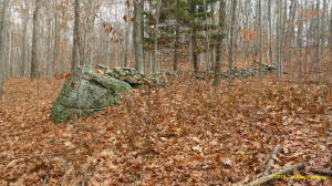 Tim MacSweeney Conneticut stone line photo