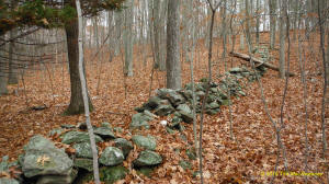 Tim MacSweeney Conneticut stone line photo 