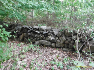 Eastern US stone line photo by Tim MacSweeny