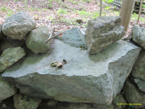 Eastern US stone line photo by Tim MacSweeny