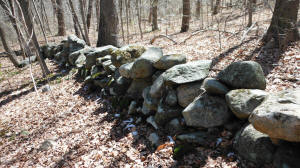 Eastern US stone line photo by Tim MacSweeny