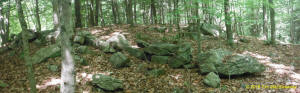 Eastern US stone line photo by Tim MacSweeny