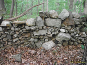 Eastern US stone line photo by Tim MacSweeny