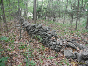 Eastern US stone line photo by Tim MacSweeny