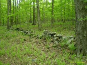 Eastern US stone line photo by Tim MacSweeny