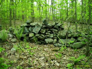 Eastern US stone line photo by Tim MacSweeny