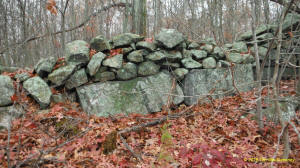 Eastern US stone line photo by Tim MacSweeny