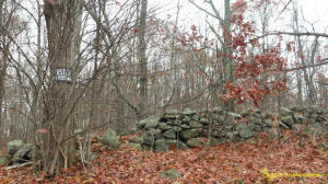 Eastern US stone line photo by Tim MacSweeny