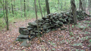 Eastern US stone line photo by Tim MacSweeny