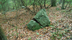 Eastern US stone line photo by Tim MacSweeny