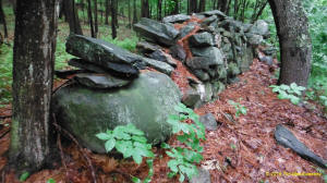 Tim MacSweeney Conneticut stone line photo