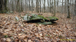 Tim MacSweeney Conneticut stone line photo