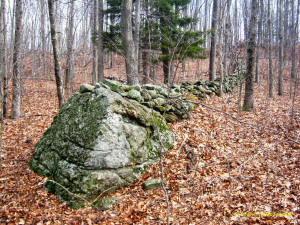 Tim MacSweeney Conneticut stone line photo