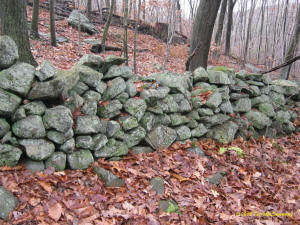 Tim MacSweeney Conneticut stone line photo