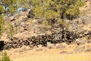 Shasta Stone Line