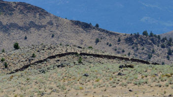 Shasta Stone Line