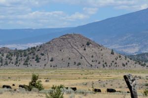 Shasta Valley Stone Line