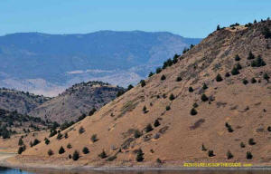 Shasta Valley steep slope lline "sv_over_50_stone_line_059