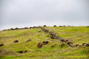 Sutter Buttes Pass Road Stone Line