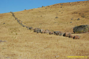 Sutter Buttes Pass Road Stone Line