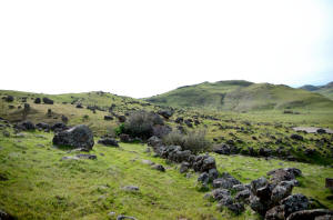 Sutter Buttes Pass Road Stone Line