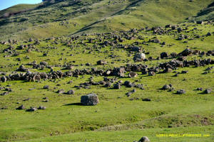 Sutter Buttes Pass Rd Stone Line