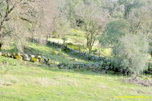 Schaeffer Ranch Stone Line