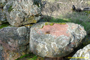 Schaeffer Ranch Stone Line