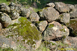 Schaeffer Ranch Stone Line