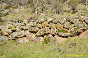 Schaeffer Ranch Stone Line