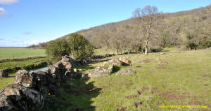 Schaeffer Ranch Stone Line