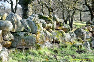 Schaeffer Ranch Stone Line