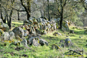 Schaeffer Ranch Stone Line