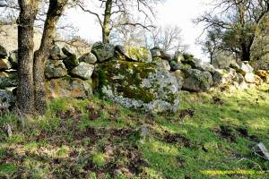 Schaeffer Ranch Stone Line