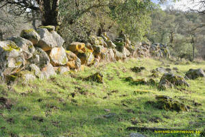 Schaeffer Ranch Stone Line