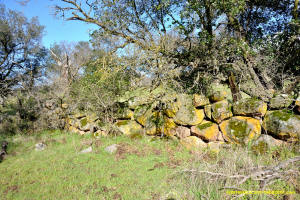 Schaeffer Ranch Stone Line