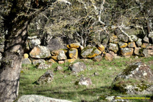 Schaeffer Ranch Stone Line