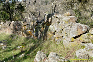 Schaeffer Ranch Stone Line