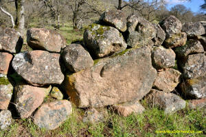 Schaeffer Ranch Stone Line